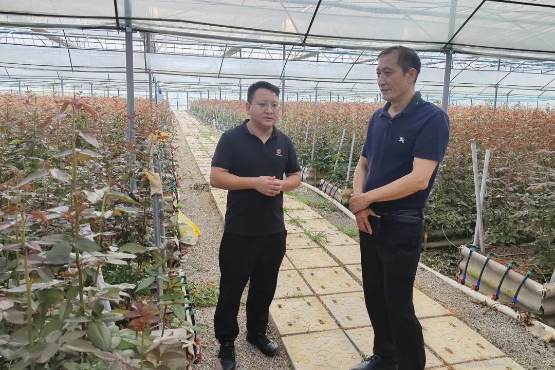 1753172407144716.png 微信图片_2025-07-22_161747_530.png